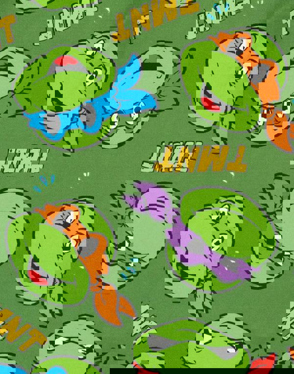 Teenage Mutant Ninja Turtles Boys Green Character Short Sleeve Long Leg Pyjama Set