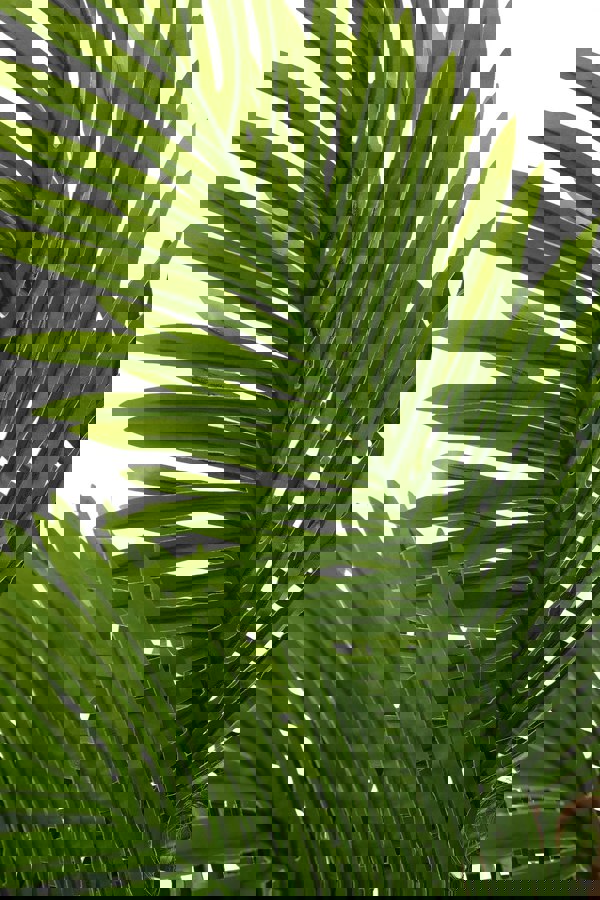 Living and Home 120cm Artificial Palm Tree Potted for Garden, Office & Home Decor