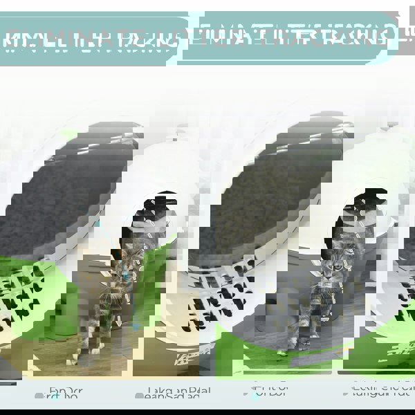 D31-081V00DG