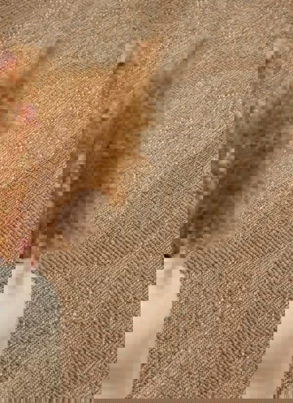 The Rugs Liora Reversible Rug – Indoor & Outdoor Quality