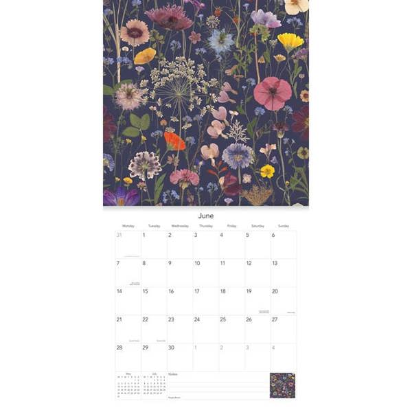 Wild Press Calendar 2027, Wall Calendars, Month To View, Art, Gift
