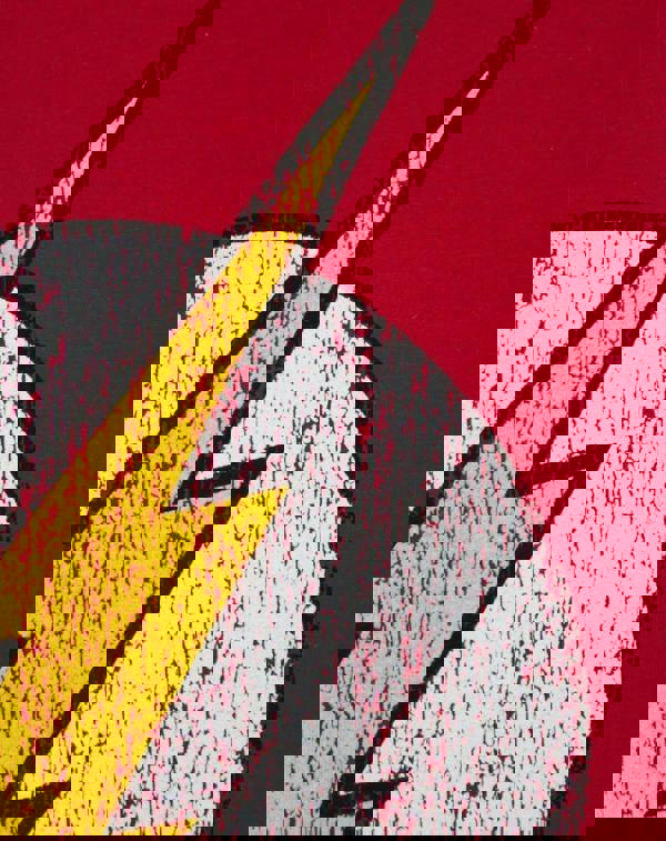 DC Comics Womens Red Flash Logo Short Sleeved T-Shirt