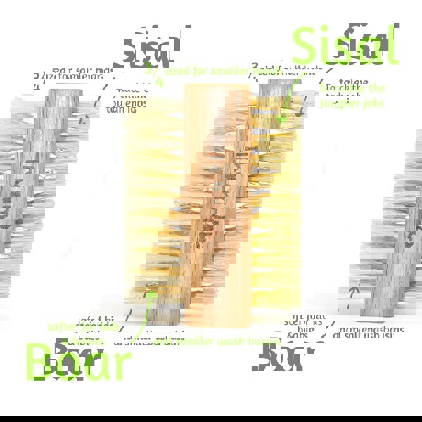 Baby Nails Dual Sided Family Wooden Nail Brush with sisal and boar hair bristles