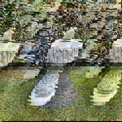 Rustic Garden Birdbath with Frog atop