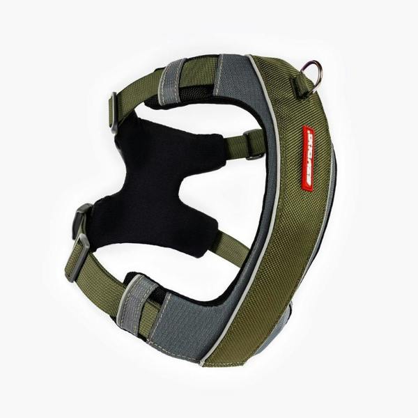 EzyDog X-Link Dog Harness in Green