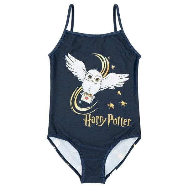 Harry Potter Girls Hogwarts One Piece Swimsuit - Navy/White/Gold