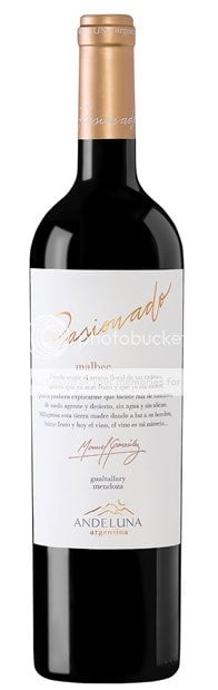 Andeluna Pasionado, Valle de Uco, Malbec 2019 75cl