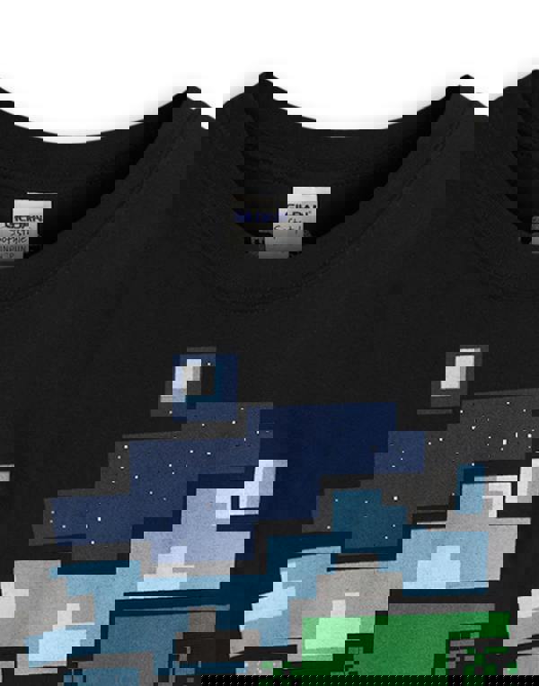 Minecraft Boys Black Short Sleeved T-Shirt