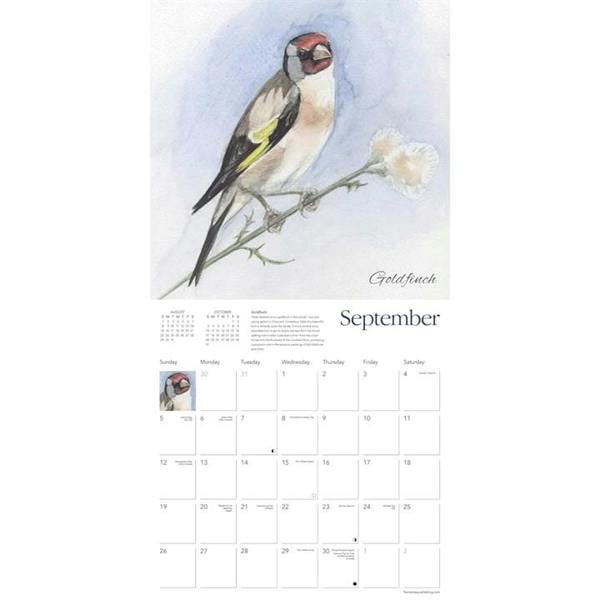 Chris Pendleton's Garden Birds Calendar 2027, Wall Calendars, Month To View, Art, Gift