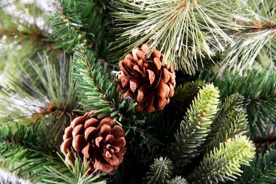 6ft to 8ft Californian Artificial Christmas Tree with Bushy Forest Green Look image 6