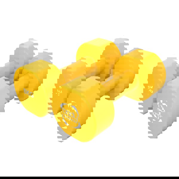 Body Revolution 2 x 8KG Neoprene dumbbells