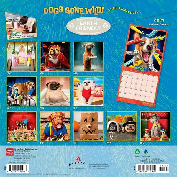 Dogs Gone Wild Calendar 2027, Wall Calendars, Month To View, Dogs, Gift