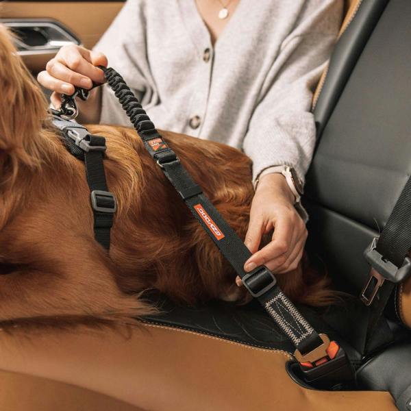 EzyDog Click Zero Shock Dog Seatbelt