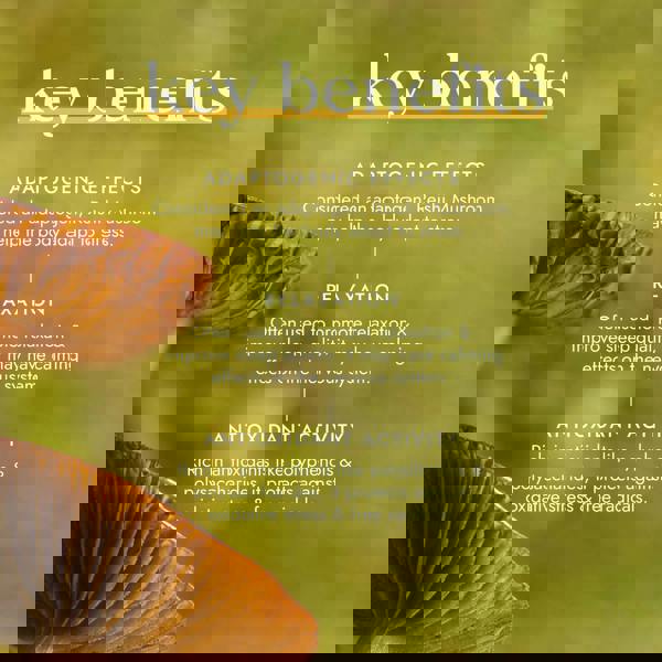 Fushi Single Herb Supplements Organic Reishi Mushroom x 60 Capsules - Additional 2