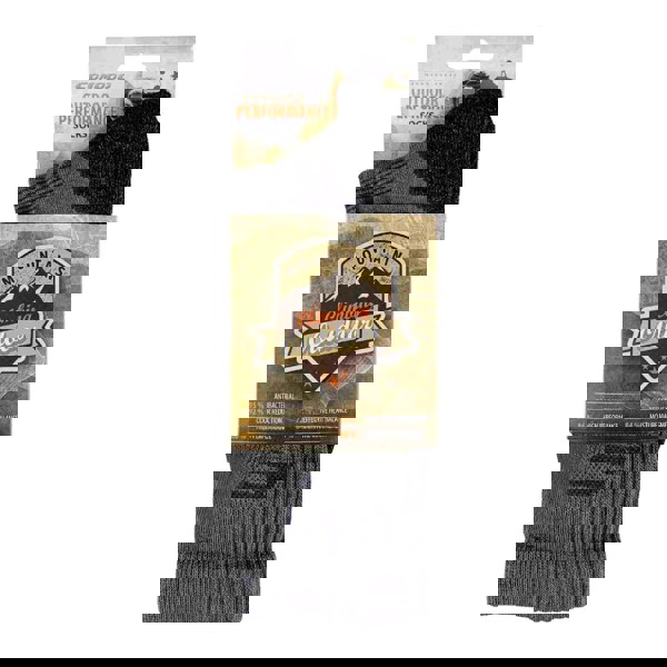t4option1_3