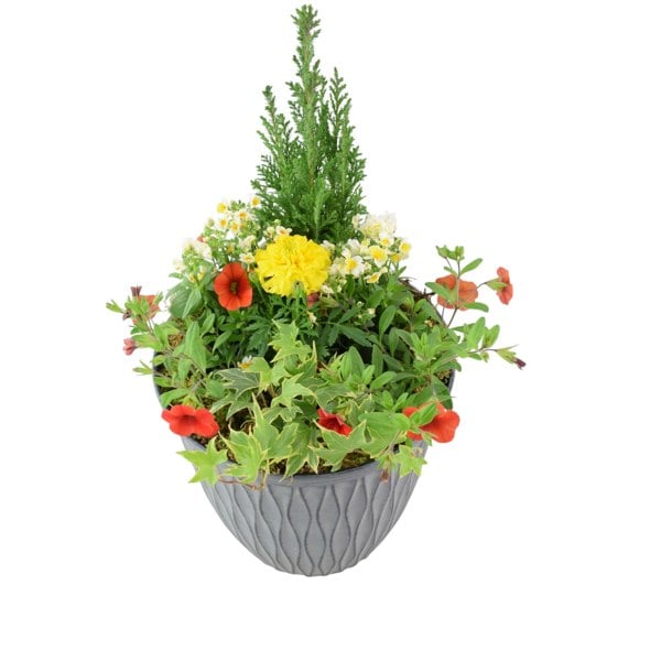 Vibrant Summer Planted Container – 26cm Decorative Outdoor Planter with Seasonal Flowers Plants By Post