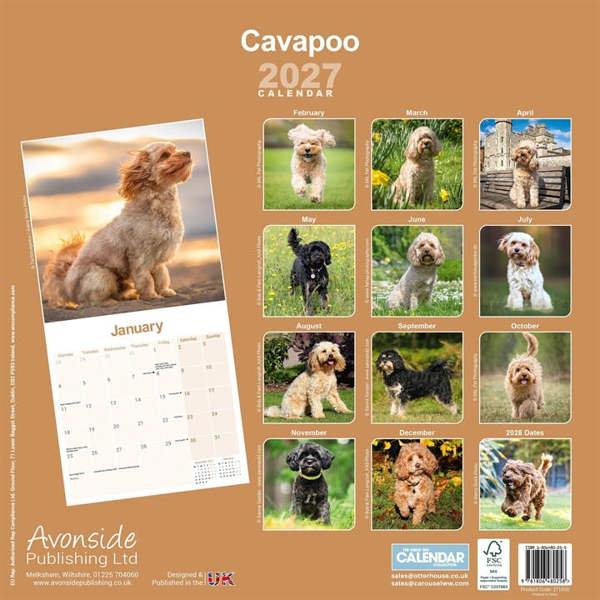 Cavapoo Calendar 2027, Wall Calendars, Month To View, Dogs, Gift