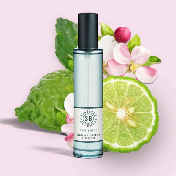 Shay & Blue English Cherry Blossom Fragrance