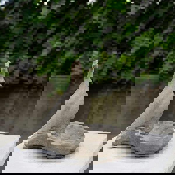 Floor level Birdbath with Perching Pigeon / Bird feeder