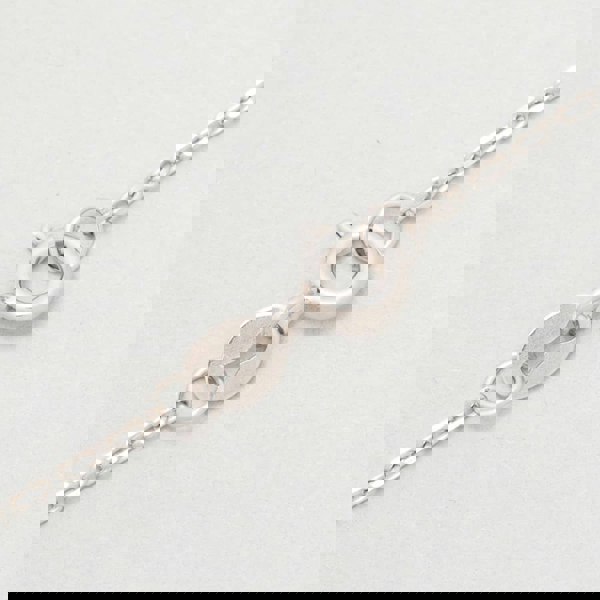 T. H. Baker Silver 18inch Round Belcher Chain N501