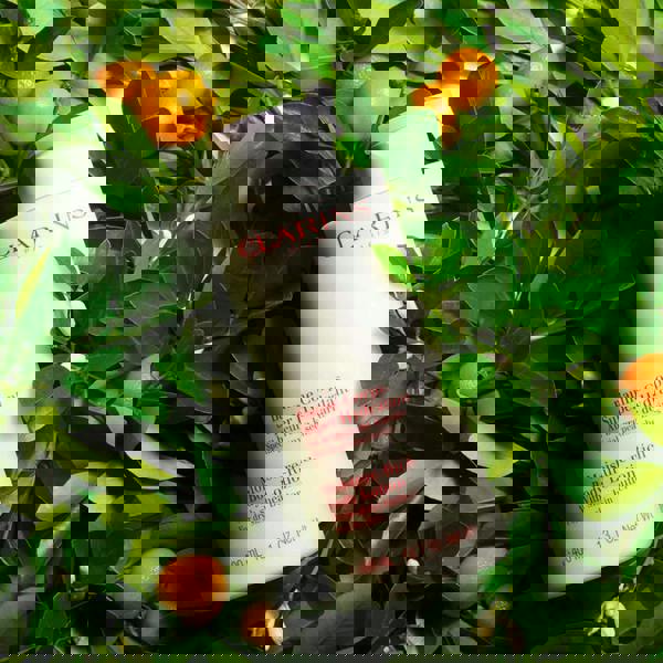 clarins Moisture-Rich Lotion 400 ml