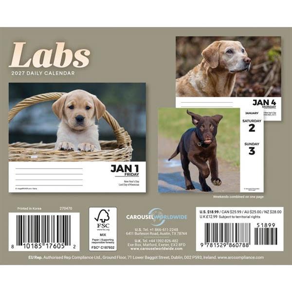 Labrador Retrievers Desk Calendar 2027, Desk Calendars, Day To View, Dogs, Gift