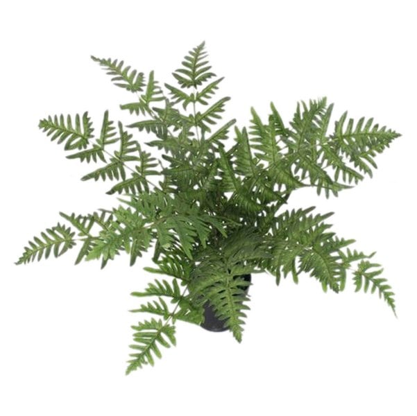 Leaf 50cm Luxury Artificial Evergreen Fern Plant