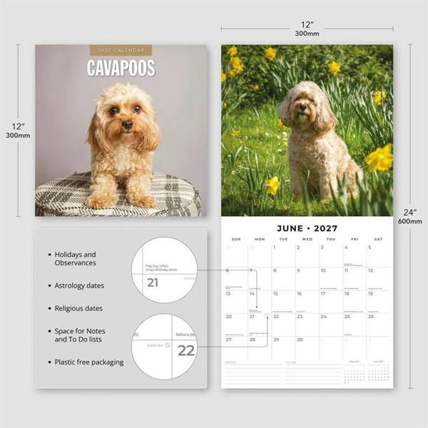Cavapoos Calendar 2027, Wall Calendars, Month To View, Dogs, Gift