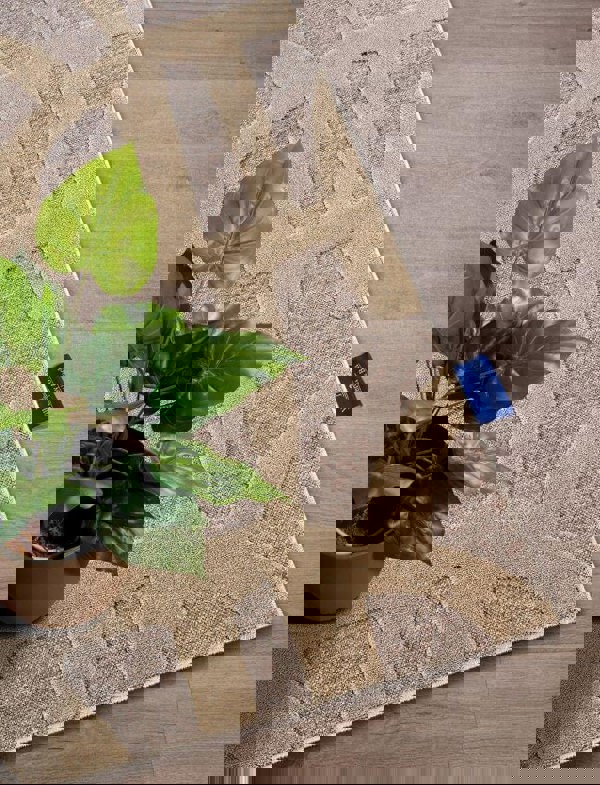 The Rugs Geometric Design Short Pile Rug - Modern Comfort