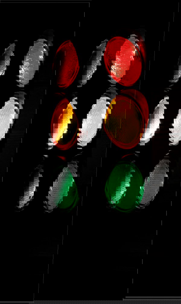 Cheetah Traffic Light Party Light