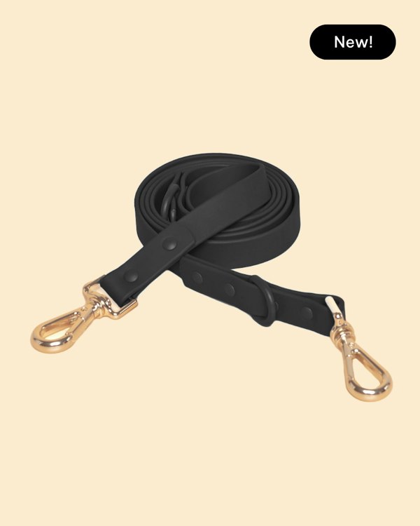 Westley Double Clip Dog Lead