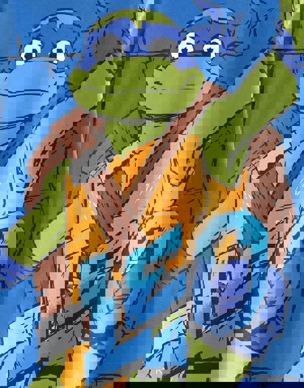 Teenage Mutant Ninja Turtles Boys Blue Leo Short Sleeved T-Shirt