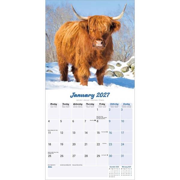 Highland Cows Calendar 2027, Wall Calendars, Month To View, Animals, Gift