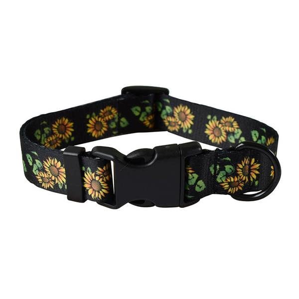Anywags Anypet Pet Collar Leash Set Black Sunflower Sytlish Strap Comfortable Dog Accessory