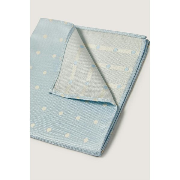 Antique Rogue Polka Dot Pocket Square
