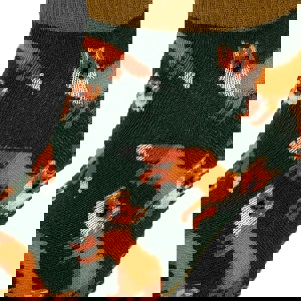 Heritage Traditions Heritage 3 Pack Trainer Socks