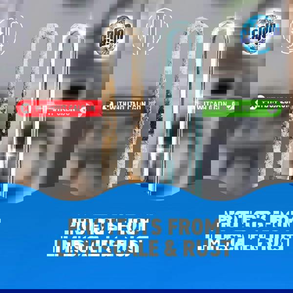 Calgon 4-in-1 Concentrated Powder 350g x2