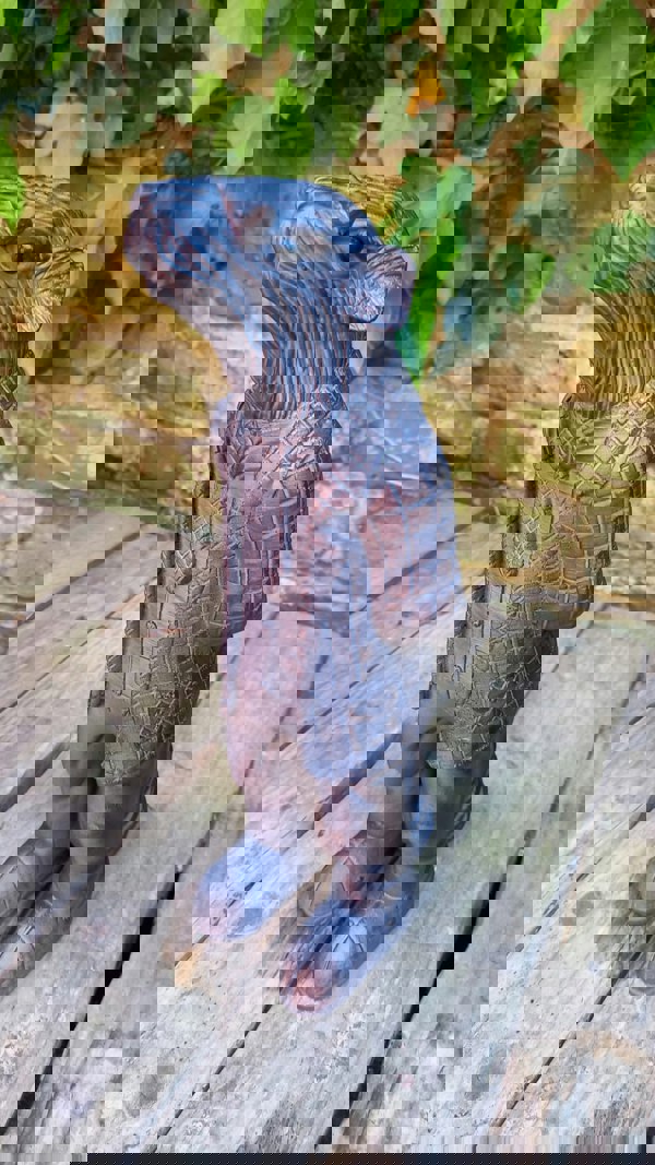 Inspirational Gifting Wind in the Willows Garden Sculptures Ornaments