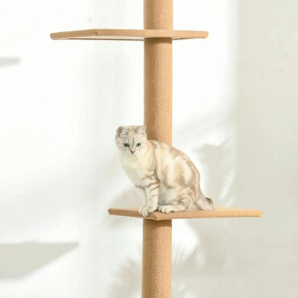 Brown cat perched on a horizontal platform of a floor-to-ceiling cat tree