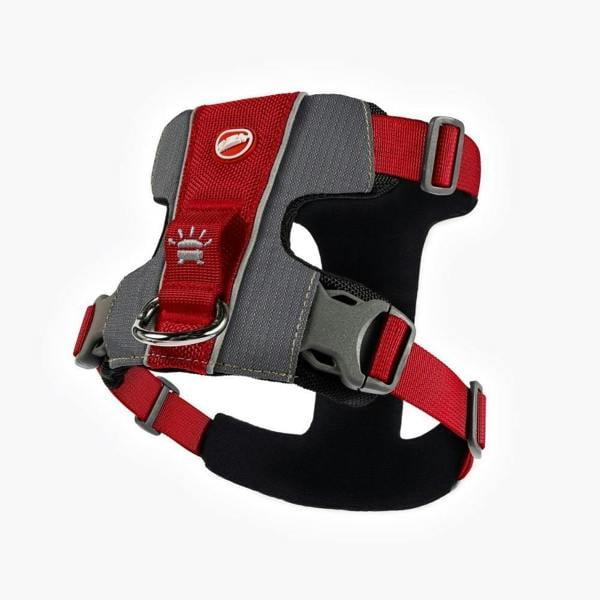 EzyDog X-Link Dog Harness in Red