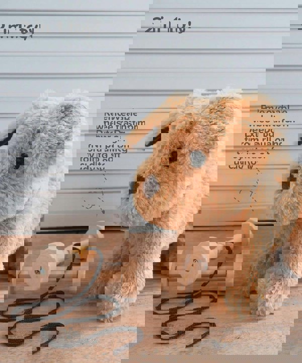 Infographic image of Dexter Dog Pull Along Toy showing removeable wheels