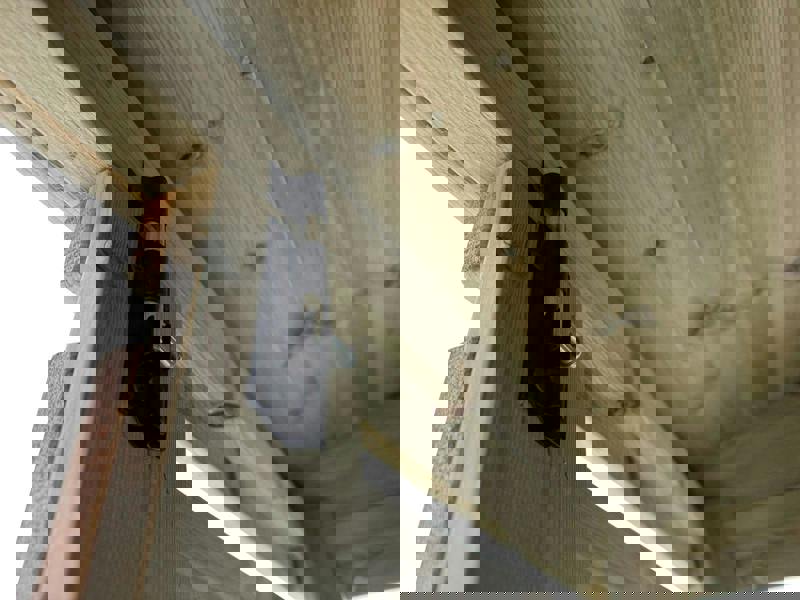 Arbor Garden Solutions BinBreeze Commercial Large Bin Store