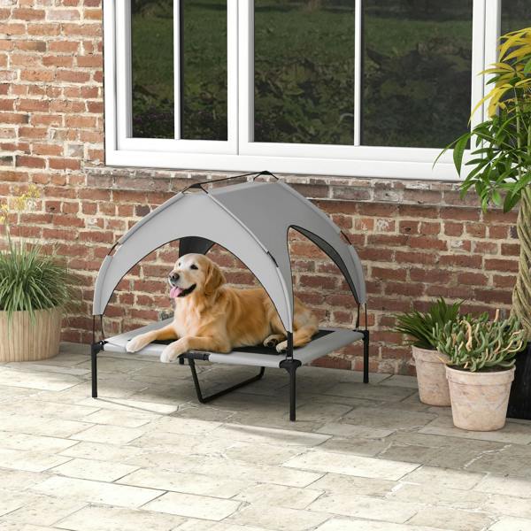 Elevated Dog Bed