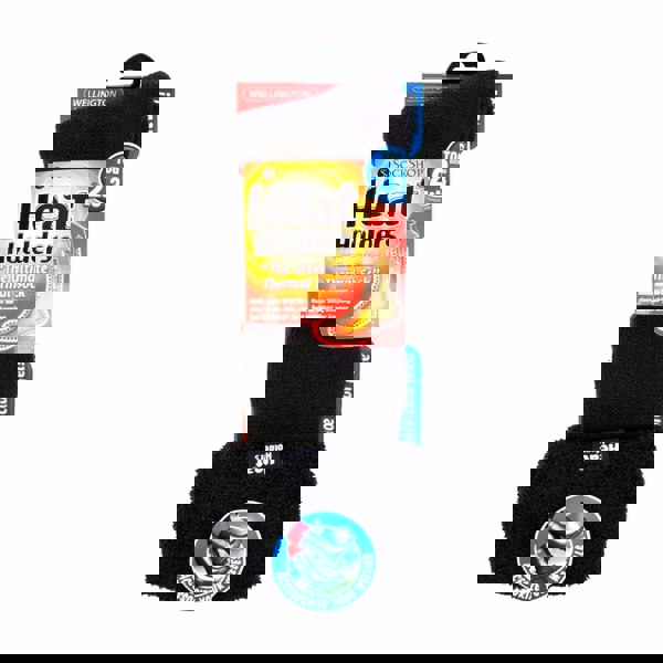 t4option1_0