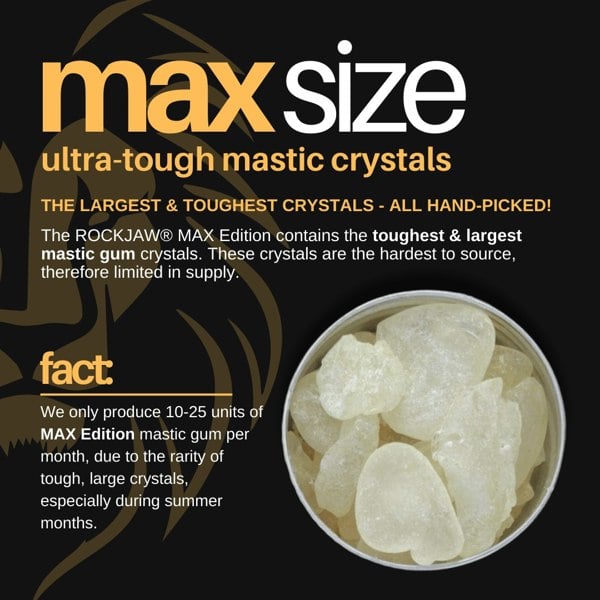 ROCKJAW MAX Edition | Premium Hand-Picked Ultra-Tough Pure Mastic Gum