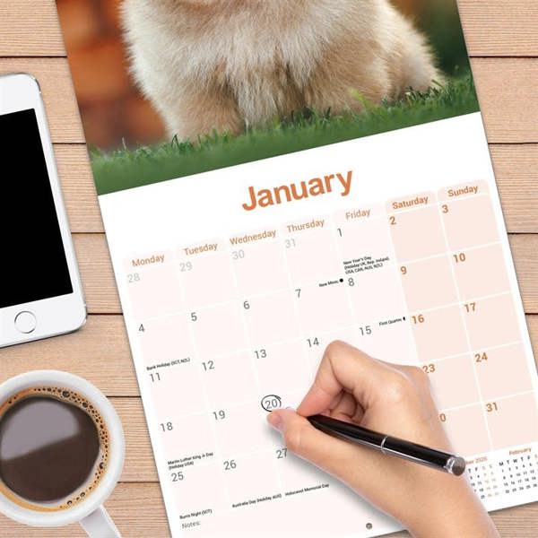 Pomeranian Calendar 2027, Wall Calendars, Month To View, Dogs, Gift