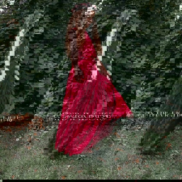 Girl in beautiful dress