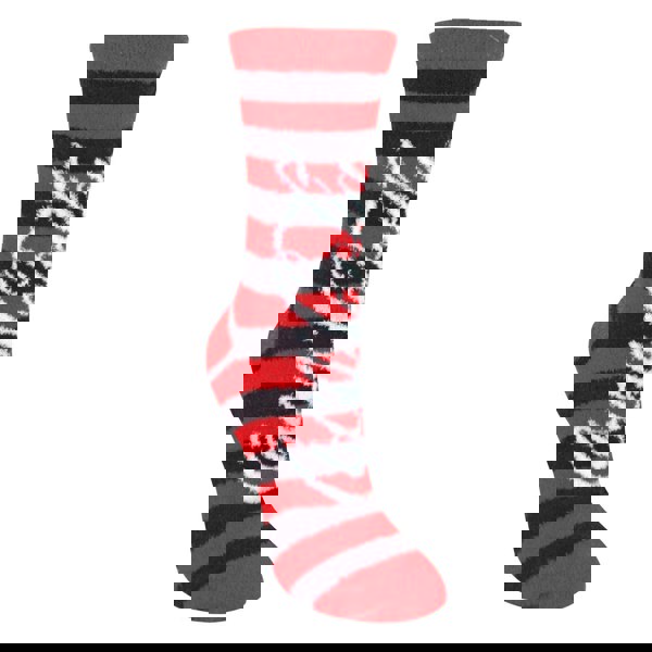 t4option1_1