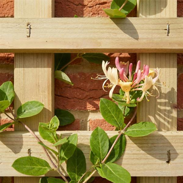 3 pack trellis flat top privacy square [w.6ft x h.1ft] 1