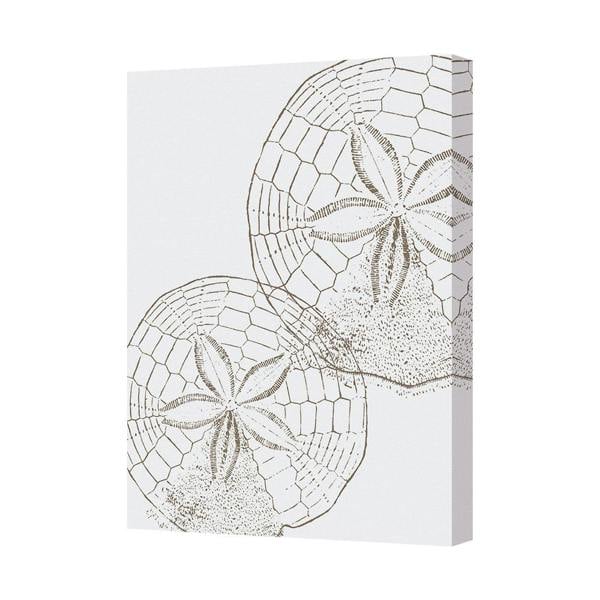 Benjamin Tate Design Sand Dollar Sketch Canvas Wall Art Nautical Beach Decor